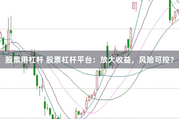 股票用杠杆 股票杠杆平台：放大收益，风险可控？