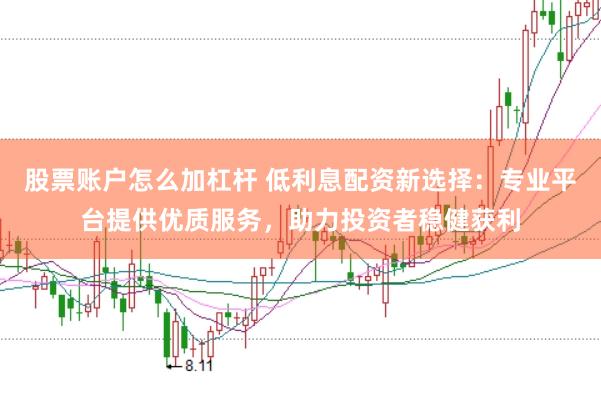股票账户怎么加杠杆 低利息配资新选择：专业平台提供优质服务，助力投资者稳健获利