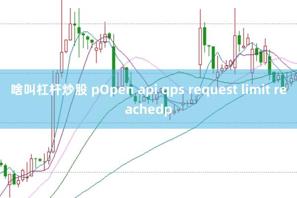 啥叫杠杆炒股 pOpen api qps request limit reachedp