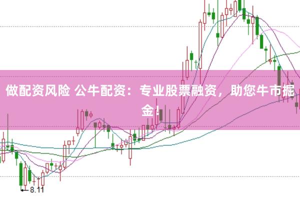 做配资风险 公牛配资：专业股票融资，助您牛市掘金！