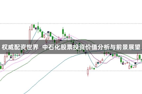 权威配资世界 中石化股票投资价值分析与前景展望