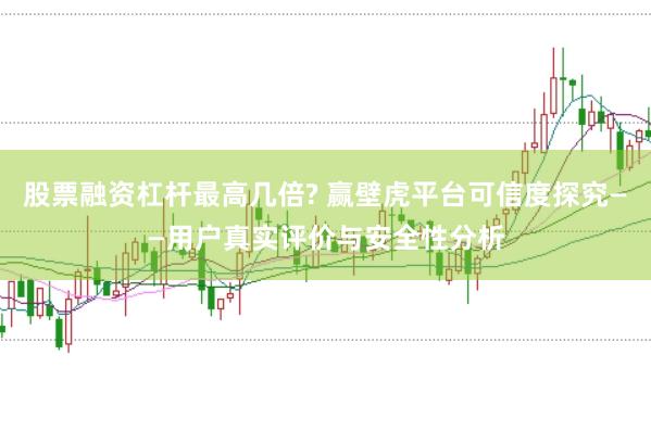 股票融资杠杆最高几倍? 赢壁虎平台可信度探究——用户真实评价与安全性分析