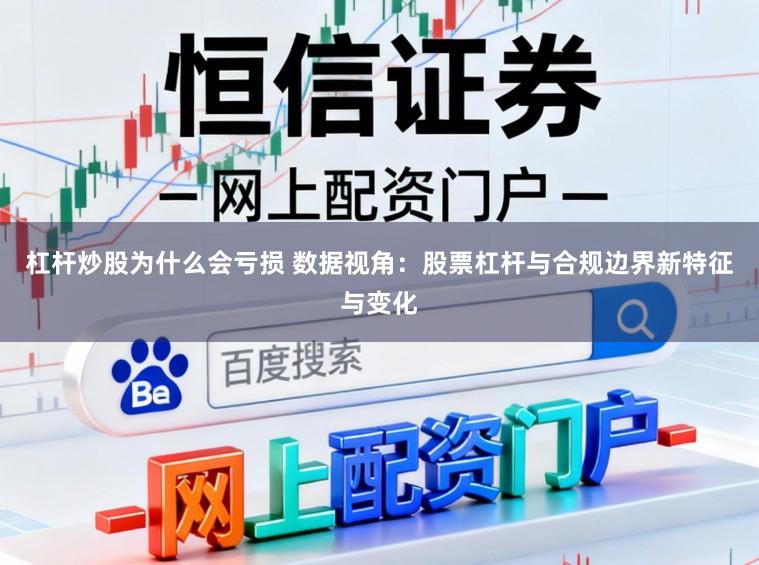 杠杆炒股为什么会亏损 数据视角：股票杠杆与合规边界新特征与变化